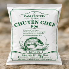Cám Protein Chuyên Chép