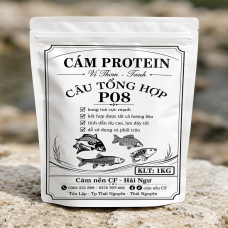 Cám Protein Câu Tổng Hợp
